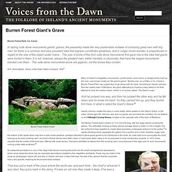 Burren Forest Giant’s Grave