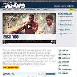 Bush Food: 11/06/2013, Behind the News