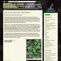 Bush Tucker Plant Food - Edible Weeds