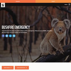 Bushfire emergency - WWF-Australia