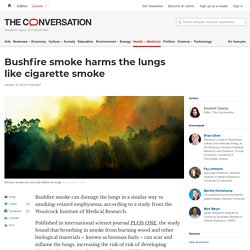Bushfire smoke harms the lungs like cigarette smoke