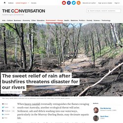 The sweet relief of rain after bushfires threatens disaster for our rivers