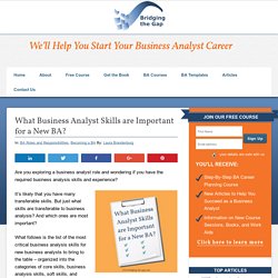 What Business Analyst Skills are Important for a New BA?