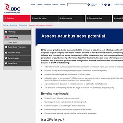 Assess your business potential