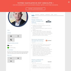 Gilles Misrahi - Resume - Interactive marketing business development