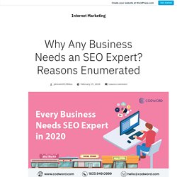 Why Any Business Needs an SEO Expert? Reasons Enumerated – Internet Marketing