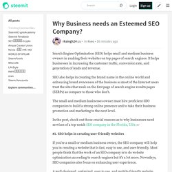 Why Business needs an Esteemed SEO Company?