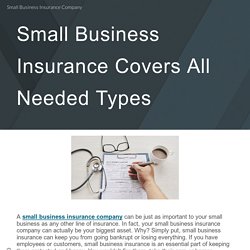 Small Business Insurance Company