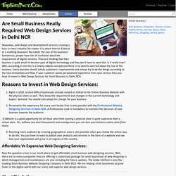 Are Small Business Really Required Web Design Services in Delhi NCR