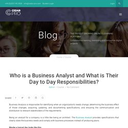 Who is a Business Analyst and What is Their Day to Day Responsibilities?