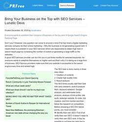 Bring Your Business on the Top with SEO Services – Lunatic Devs