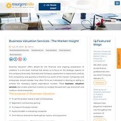 Business Valuation Services : The Market Insight