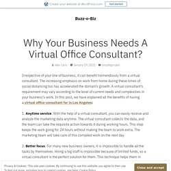 Why Your Business Needs A Virtual Office Consultant?