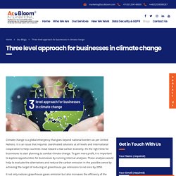 Three level approach for businesses in climate change - AcoBloom International