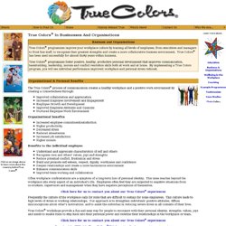 True Colors® In Businesses And Organisations