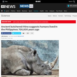 Ancient butchered rhino suggests humans lived in the Philippines 700,000 years ago - Science News - ABC News