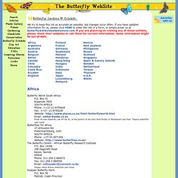 The Butterfly WebSite - butterfly garden, butterfly gardens, buttefly zoo, butterflies zoo, butterfly exhibit, butterfly house, butterfly feeder