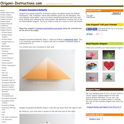 Origami Kusudama Butterfly Folding Instructions