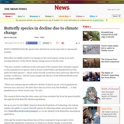 Butterfly species in decline due to climate change - The Irish Times - Wed, Aug 22