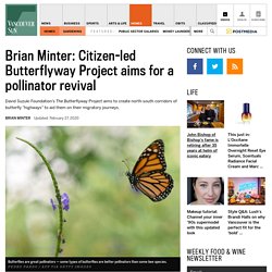 Brian Minter: Citizen-led Butterflyway Project aims for a pollinator revival