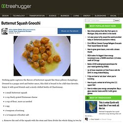 Butternut Squash Gnocchi