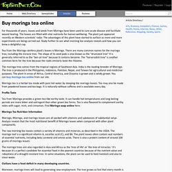 Buy moringa tea online