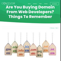 Are You Buying Domain From Web Developers? Things To Remember