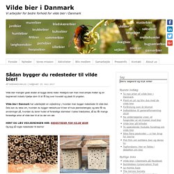 Sådan bygger du redesteder til vilde bier! - Vilde bier i Danmark
