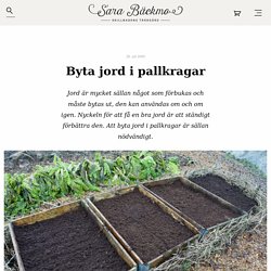Byta jord i pallkragar - Sara Bäckmo