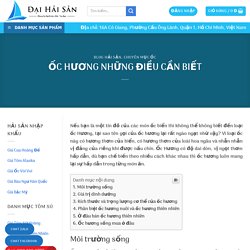 ỐC HƯƠNG NHỮNG ĐIỀU CẦN BIẾT ⋆ Đại Hải Sản