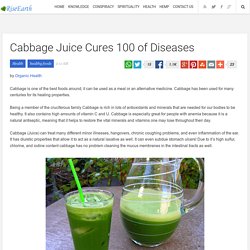 Cabbage Juice Cures 100 of Diseases