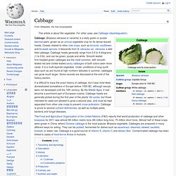 Wiki: Cabbage