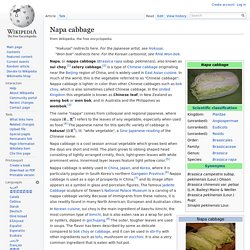 Napa cabbage - Wikipedia, the free encyclopedia - Iceweasel