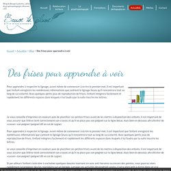 Blog du cabinet de graphopédagogie à Rennes (35)