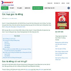 Các loại gas tủ đông thông dụng