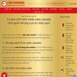 6 cách chế biến nhân sâm canada đơn giản nhưng cực kỳ hiệu quả