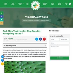 Cách Chữa Thoái Hoá Cột Sống Bằng Cây Xương Rồng Và Lưu Ý Cần Nhớ