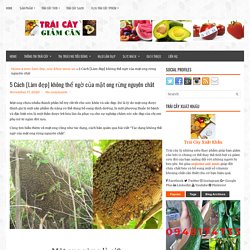 5 Cách [Làm đẹp] không thể ngờ của mật ong rừng nguyên chât ~ Trái Cây Giảm Cân Tốt