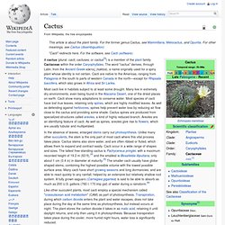 Cactus