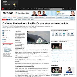 Caffeine flushed into Pacific Ocean stresses marine life - British Columbia