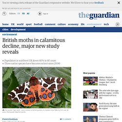British moths in calamitous decline, major new study reveals