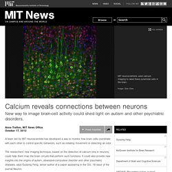 Calcium reveals connections between neurons