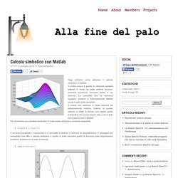 Calcolo simbolico con Matlab - Alla fine del paloAlla fine del palo