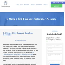 Using a Child Support Calculator Accurate - Waldron Law Group