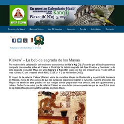 K’akaw’ - La bebida sagrada de los Mayas - Maya Tecum. Calendario Maya y cosmovisión ancestral. Cholqij, haab, ab