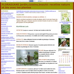 Calendrier récolte de plantes, sauvages ou cultivées - 2