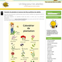 Un blog pour les abeilles » Calendrier de plantation et semence des fleurs préférées des abeilles