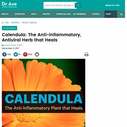 Calendula: The Anti-Inflammatory, Antiviral Healing Herb- Dr. Axe