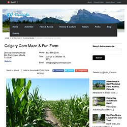 Calgary Corn Maze, Petting Zoo & Pumpkin patch 