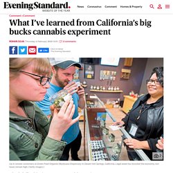 What I’ve learned from California’s big bucks cannabis experiment